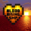 Server's 216.201.73.66:9165 logo
