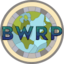 Server's brokenworldrp.com logo