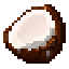 Server's coconutsmp.net logo