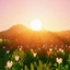 Server's DawnMC logo