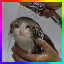 Server's feather64.net logo