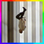 Server's feather64.net logo