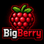 Server's in-1.versenode.site:25574 logo