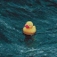 Server's lonelyducksmp.com logo