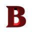 Server's mc.brevthcraft.net logo