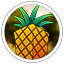 Server's mc.fruitservers.net logo