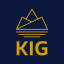Server's mc.playkig.com logo