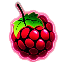Server's mcraspi.com logo