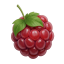 Server's mcraspi.com logo