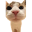 Server's meepcraft.com logo