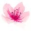 Server's miluvale.xyz logo