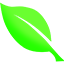 Server's msg.purevanilla.co logo
