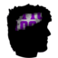 Server's paper.iptables.sh logo