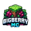 Server's play.bigbarrymc.xyz logo