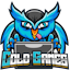 Server's play.coldnetwork.net logo