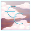 Server's play.etherealcraft.net logo