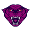 Server's play.hiranetwork.com logo