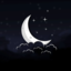Server's play.lunarsurvival.xyz logo