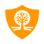 Server's play.onyxmc.net logo