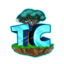 Server's play.togethercraft.online logo