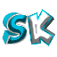 Server's SkNetwork (1.21 - Java) logo