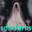 Server's solidarks.com logo