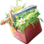 Server's survivalfun.net logo