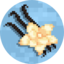 Server's vanillarealms.com logo