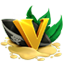 Server's volatik.net logo