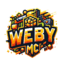 Server logo - webymc.mineverse.in